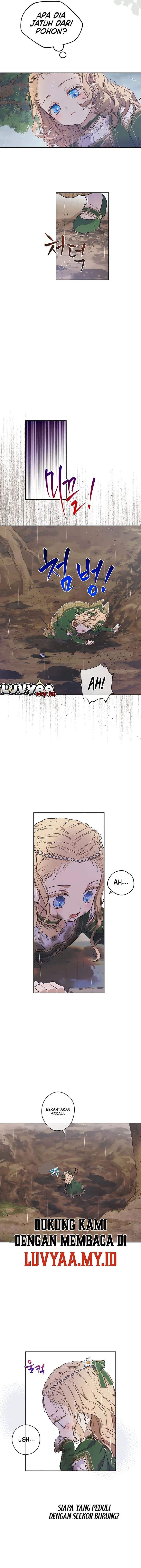 
              The Forgotten Field             Chapter 3