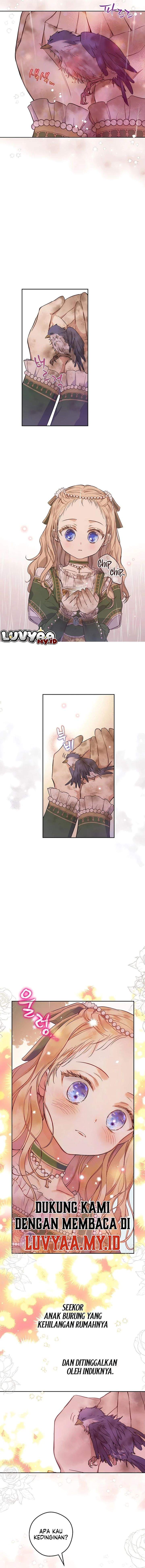 
              The Forgotten Field             Chapter 3
