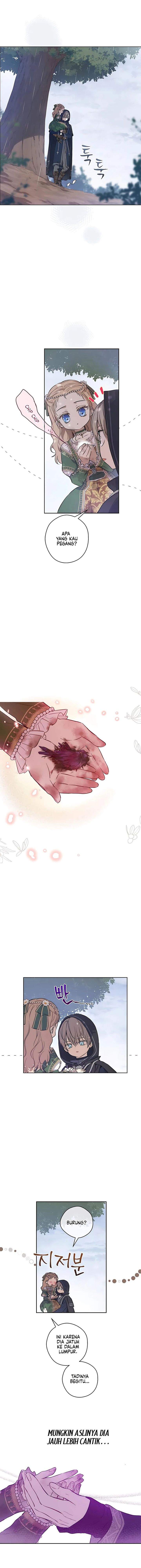 
              The Forgotten Field             Chapter 4
