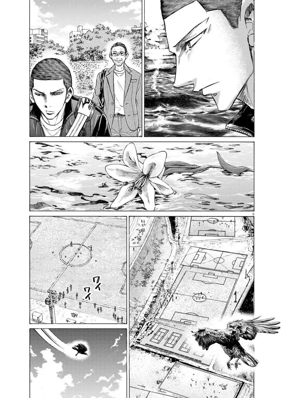 Panel 8